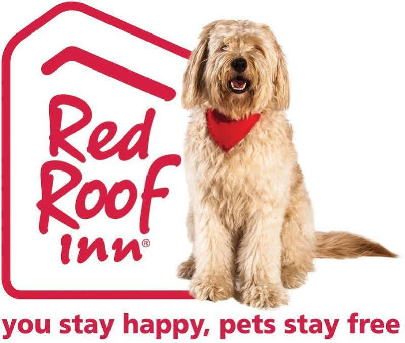 Red Roof Inn Toledo University Exterior photo